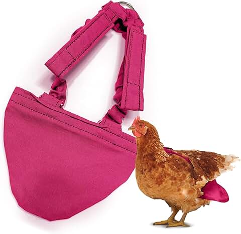 Hen and bird diaper with harness, adjustable fit
