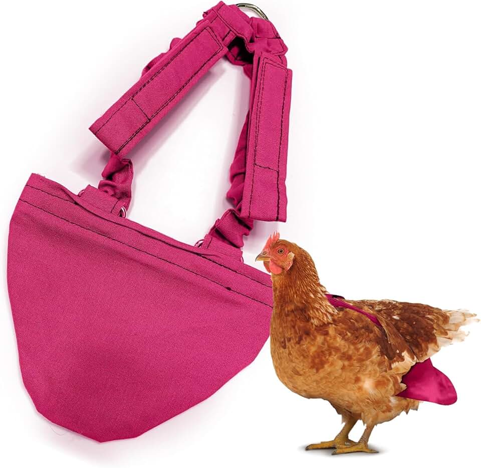 Hen and bird diaper with harness, adjustable fit