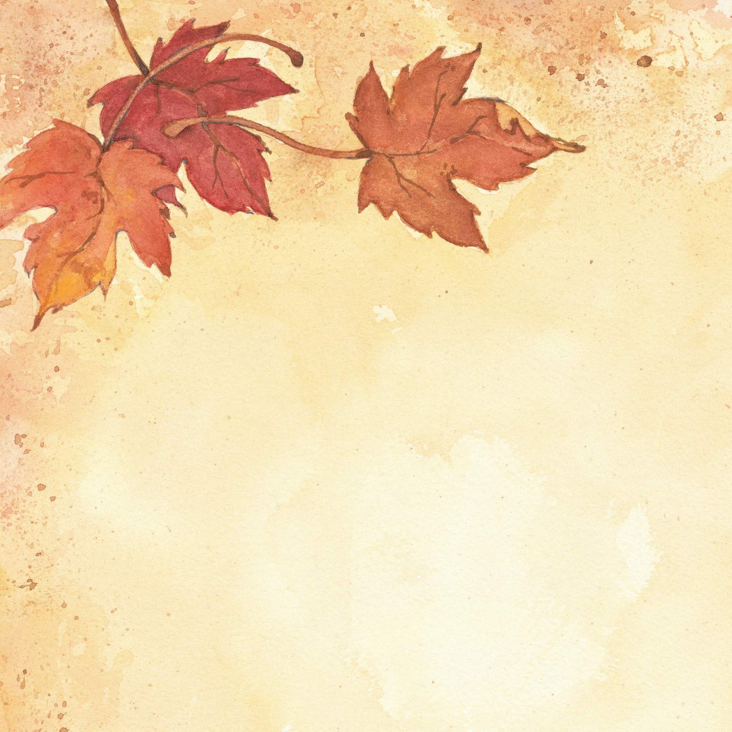 Fall Leaves Letterhead, 80 Sheets, 8.5" x 11"