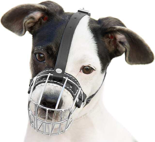 Dog Metal Muzzle with Adjustable Leather Straps