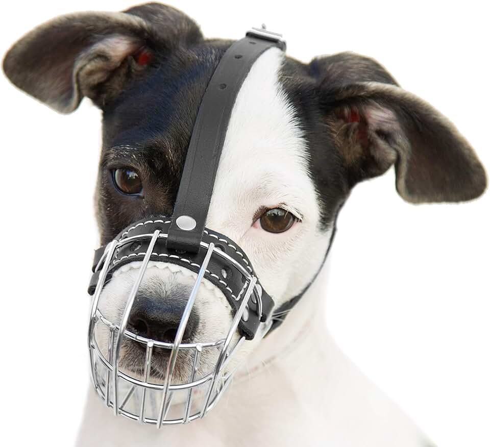 Dog Metal Muzzle with Adjustable Leather Straps