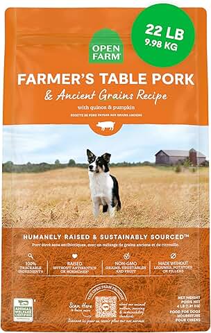 Ancient Grains Dry Dog Food with Pork and Superfoods
