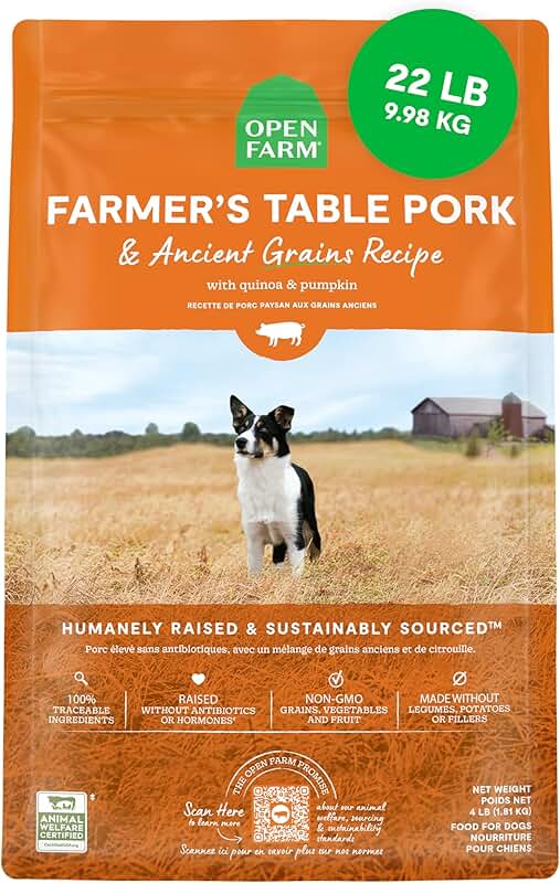 Ancient Grains Dry Dog Food with Pork and Superfoods
