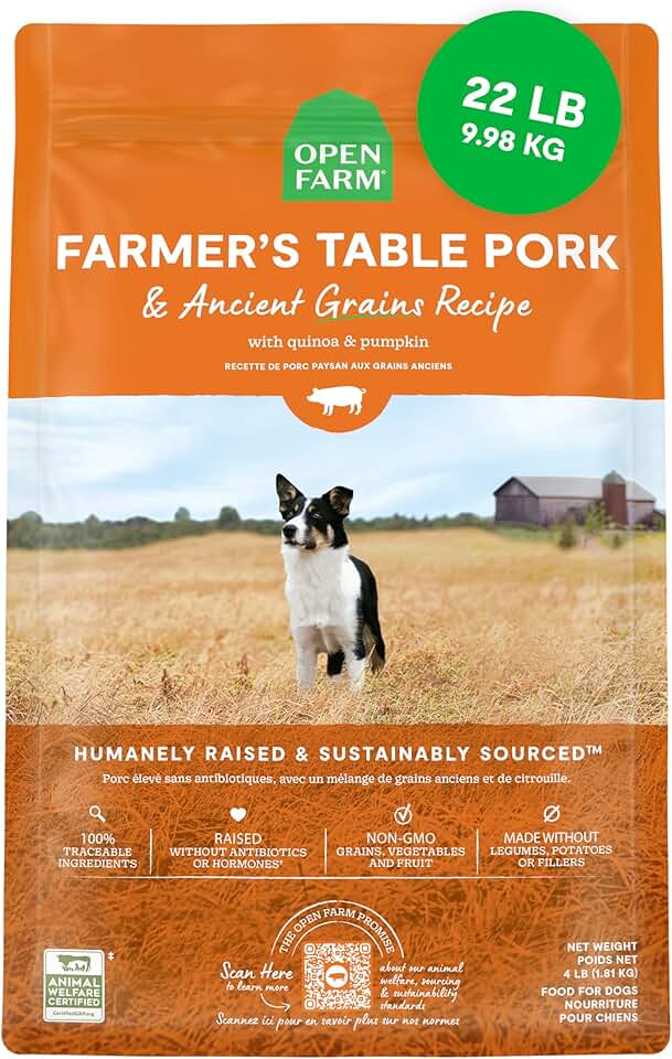 Ancient Grains Dry Dog Food with Pork and Superfoods