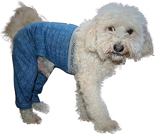 Dog Pajamas for Medium Dogs in Blue