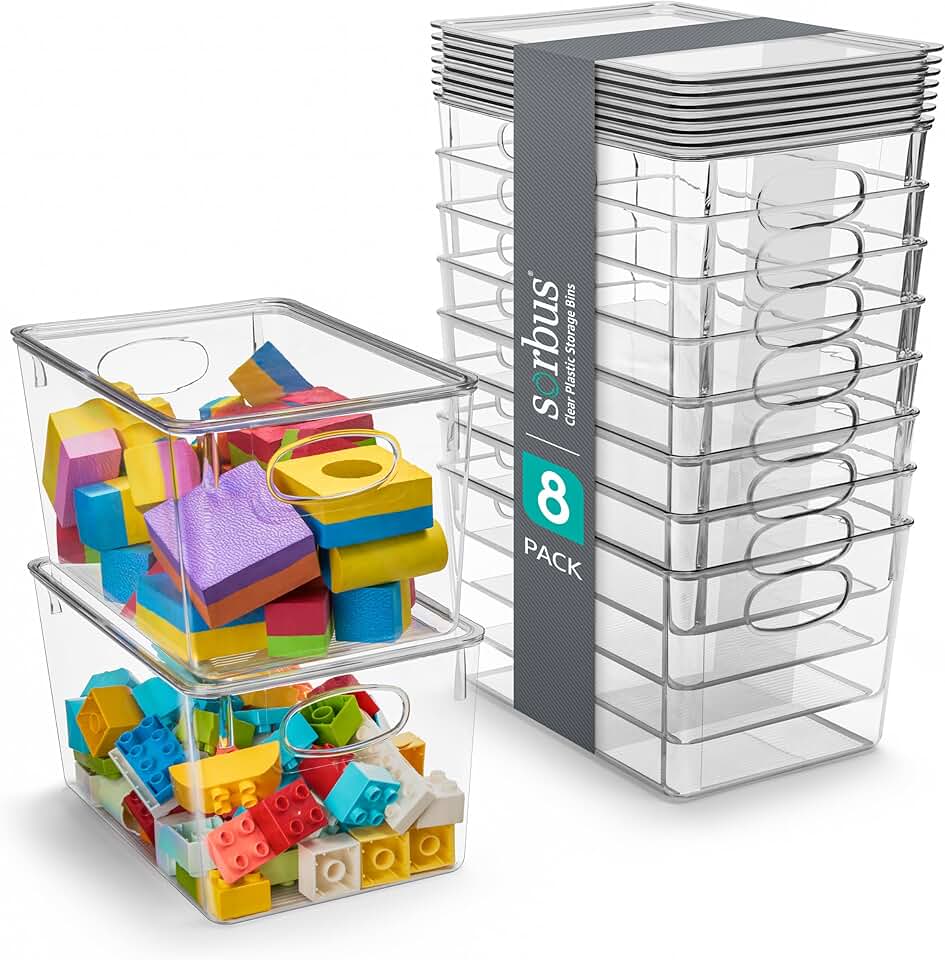 Large Clear Plastic Storage Bins with Lids, 8 Pack