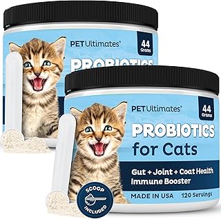 Probiotics for Cats - Digestive Support and Recovery