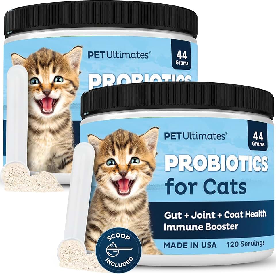 Probiotics for Cats - Digestive Support and Recovery