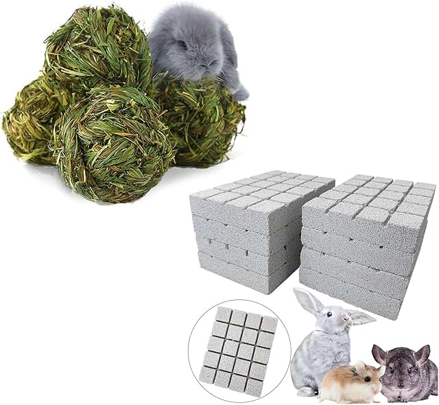 Rabbit Chew and Scratching Toys Set
