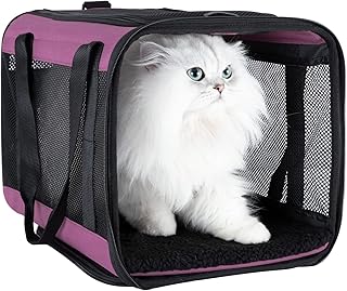 Soft Pet Carrier for Cats and Small Dogs