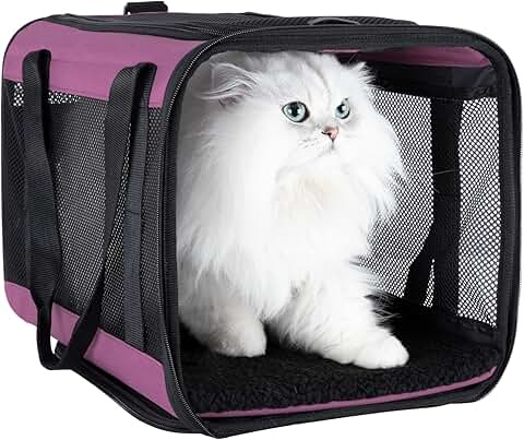 Soft Pet Carrier for Cats and Small Dogs