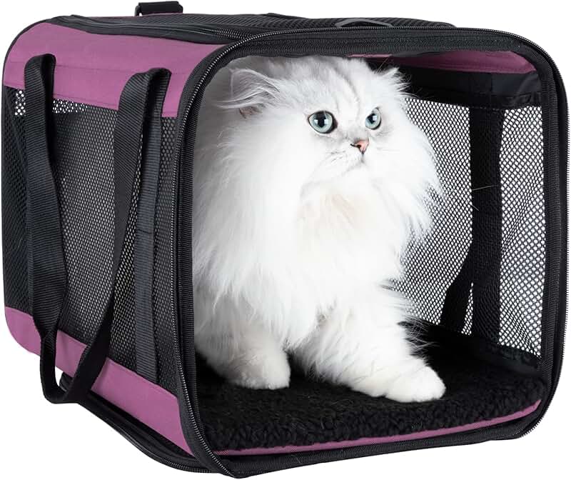 Soft Pet Carrier for Cats and Small Dogs
