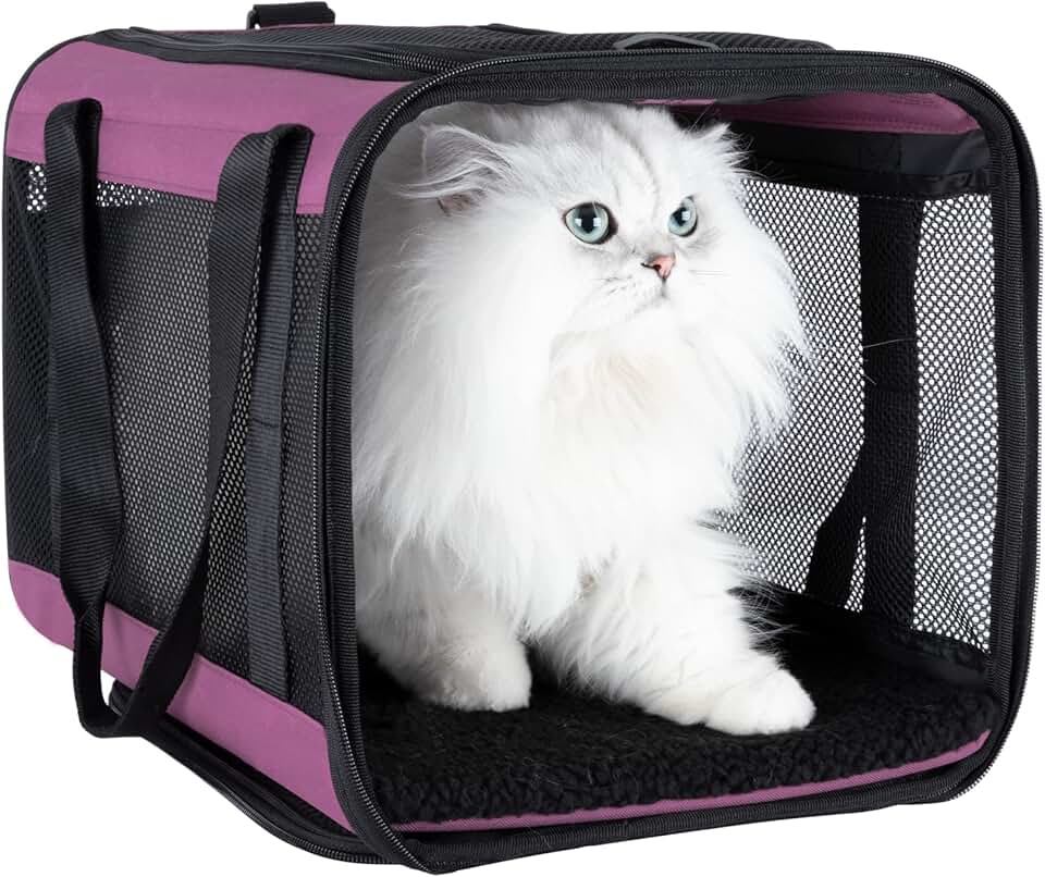Soft Pet Carrier for Cats and Small Dogs