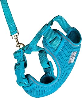 Adventure Kitty Harness with Leash in Teal, Large