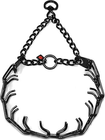 Black Stainless Steel Prong Dog Collar for Training