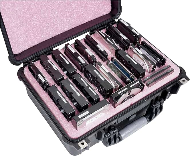 Large Anti-Static HDD & SSD Storage Case