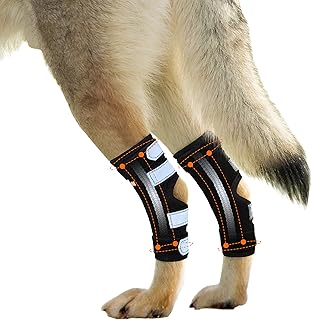 Large Dog Rear Leg Support Brace with Metal Spring