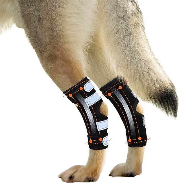 Large Dog Rear Leg Support Brace with Metal Spring
