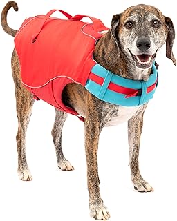 Dog Life Jacket with Rescue Handle and Reflective Accents