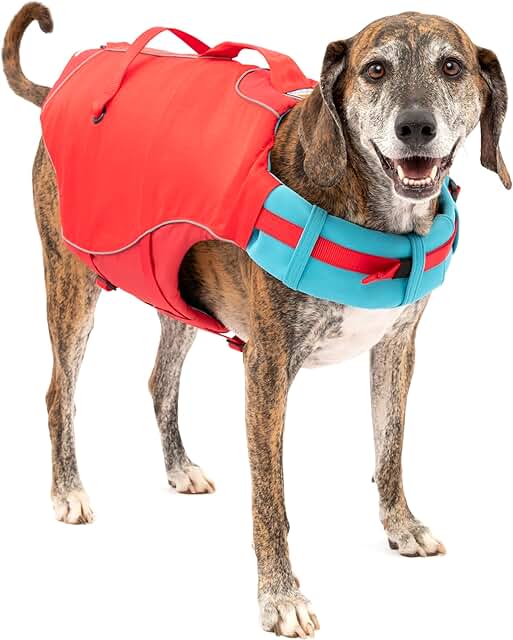 Dog Life Jacket with Rescue Handle and Reflective Accents