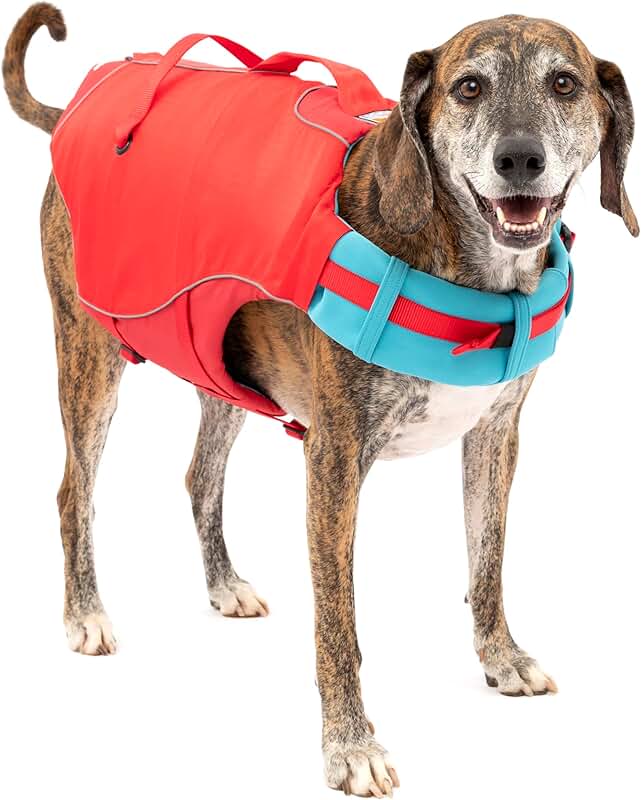 Dog Life Jacket with Rescue Handle and Reflective Accents