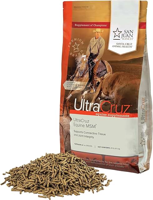 10 lb Equine MSM Supplement