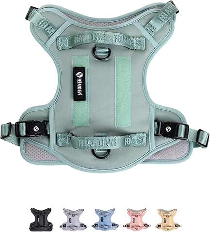 2025 New Edition Dog Harness with Quick-Release Buckles