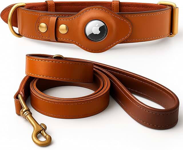Luxury Leather Dog Collar and Leash Set with AirTag Holder