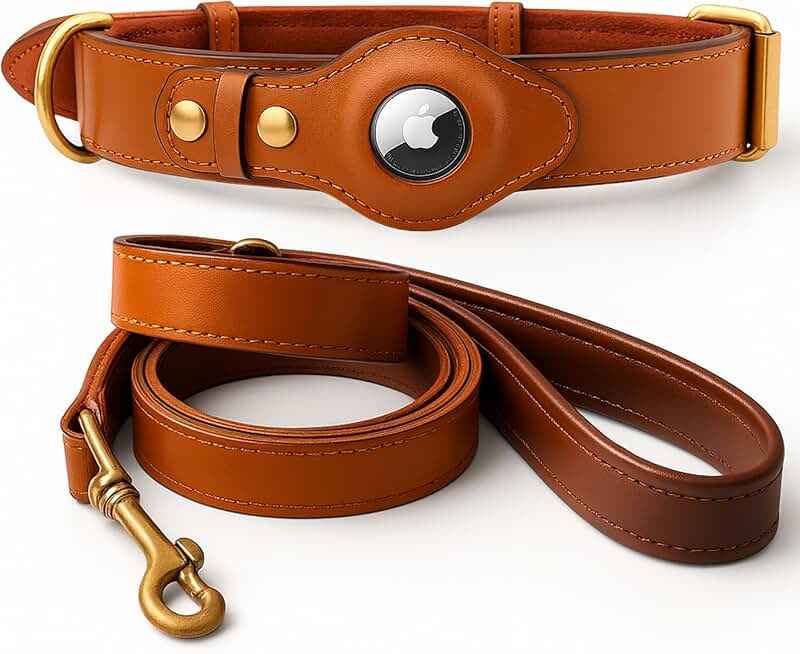 Luxury Leather Dog Collar and Leash Set with AirTag Holder