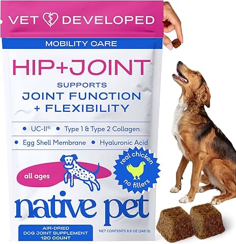 Dog Hip & Joint Supplement for Healthy Movement