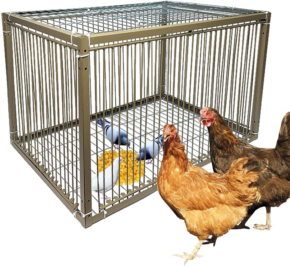 Small Bird and Animal Trap Cage with Escape-Proof Design