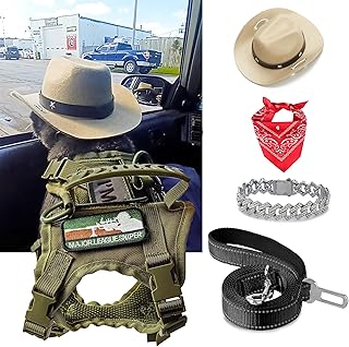 Adjustable Cat and Small Dog Harness with Leash
