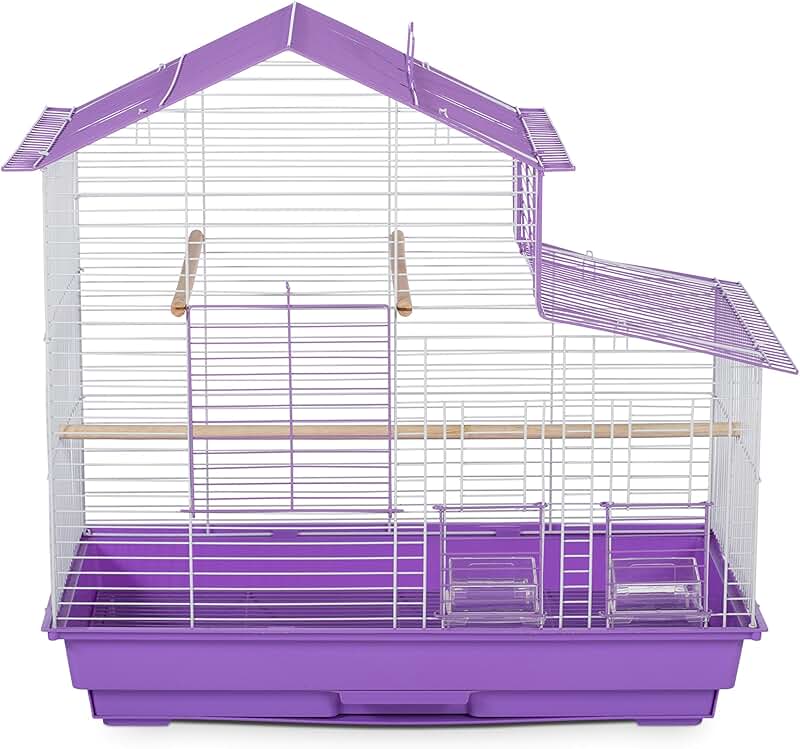 Small purple bird cage with house style