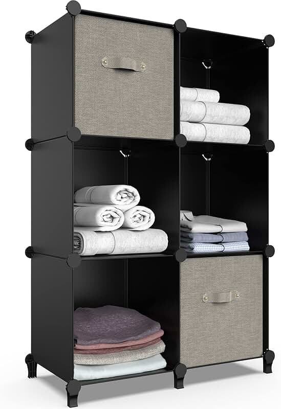 Two-Pack 10-Shelf Hanging Organizer in Black