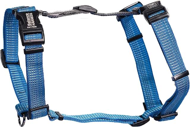 Adjustable Reflective Dog Harness for Training