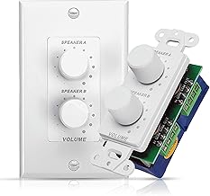 In-Wall Speakers with Dual Volume Control and Rotary Knobs