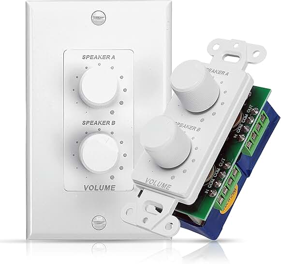 In-Wall Speakers with Dual Volume Control and Rotary Knobs