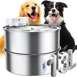 Large Dog Water Fountain with Filter and Pump