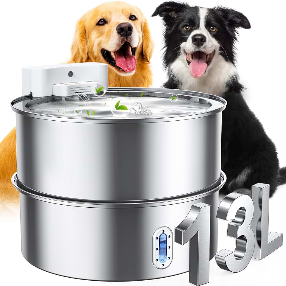 Large Dog Water Fountain with Filter and Pump