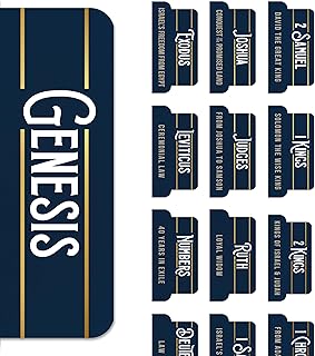 Large Print Bible Book Tabs for Men