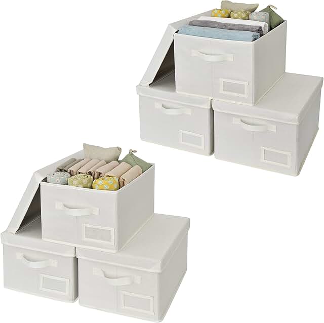 Set of 6 Lidded and Rectangle Closet Storage Bins