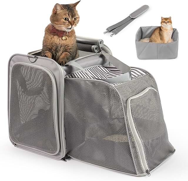 Large Expandable Cat Carrier with Litter Box for Travel