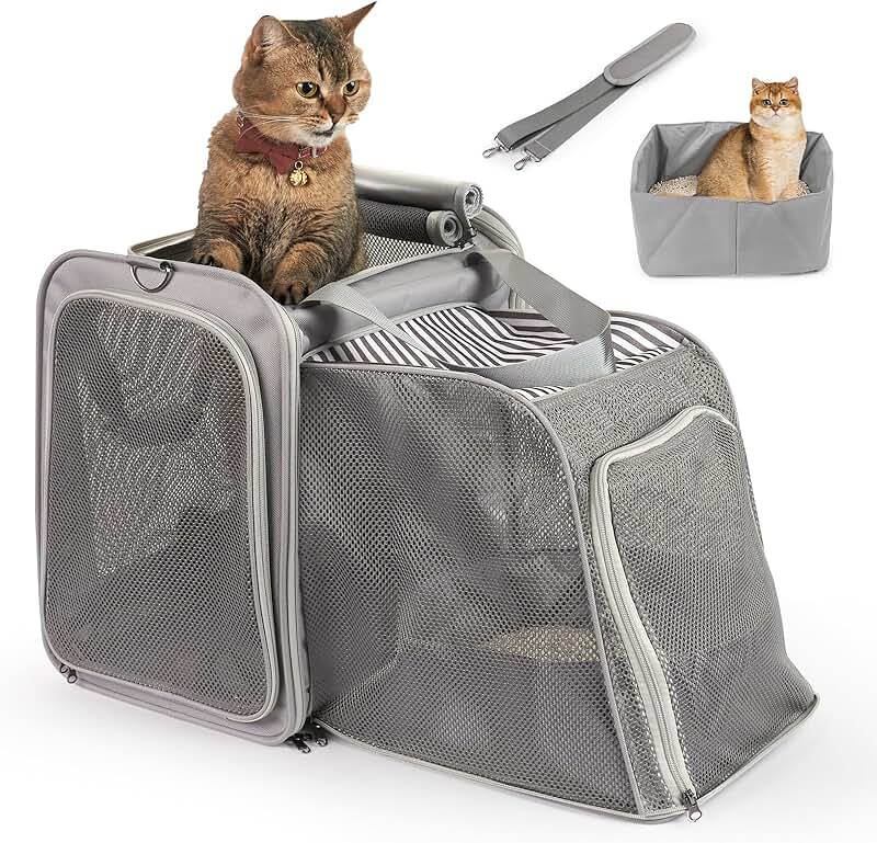 Large Expandable Cat Carrier with Litter Box for Travel