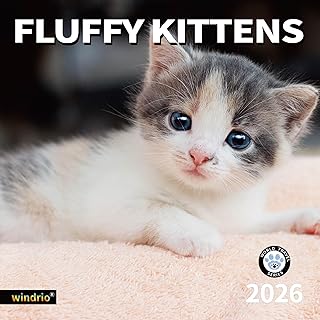 2026 Wall Calendar with Kittens, July 2025–Dec 2026