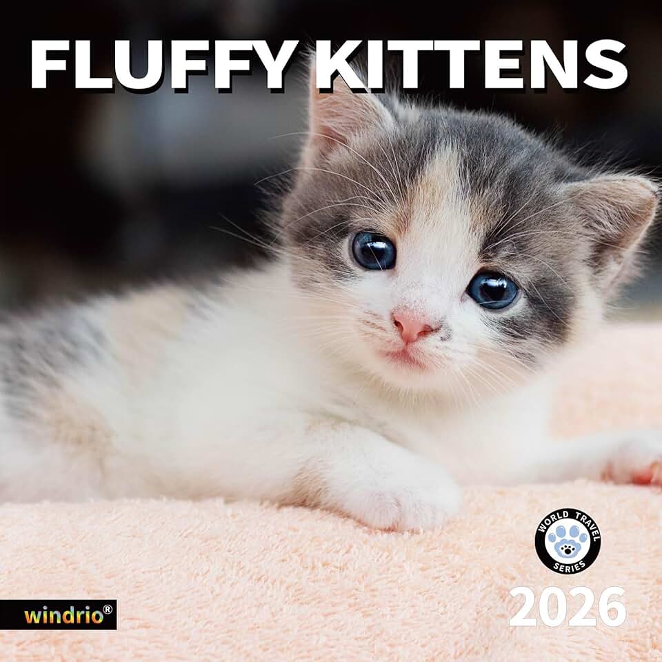 2026 Wall Calendar with Kittens, July 2025–Dec 2026