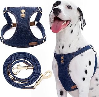 No Pull Dog Harness and Leash Set for Medium Dogs