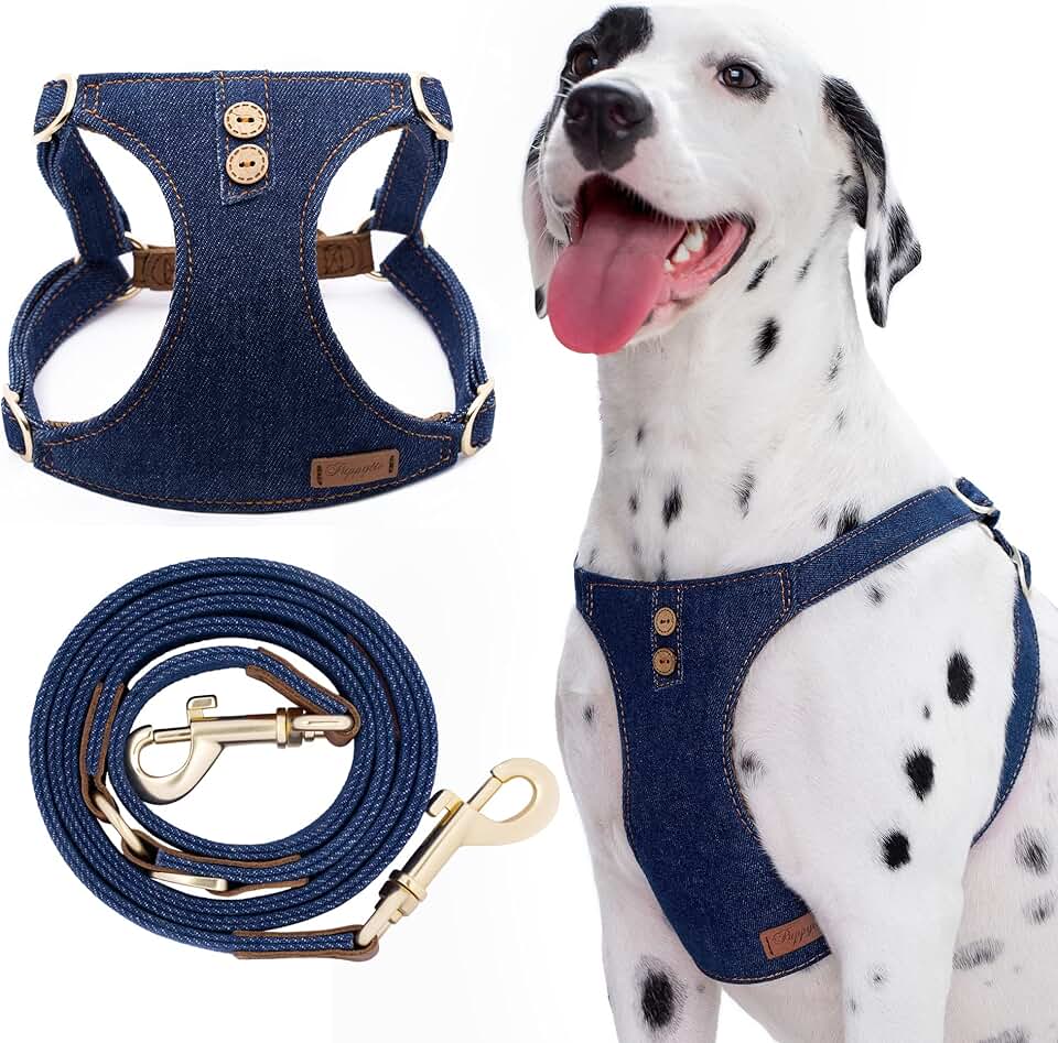 No Pull Dog Harness and Leash Set for Medium Dogs