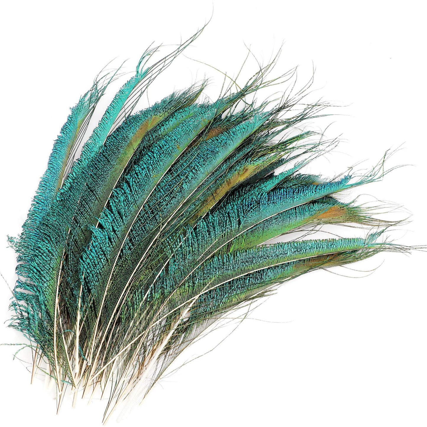 30pcs Natural Peacock Sword Feathers 25-35cm for DIY Decor