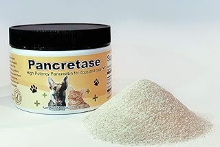 Digestive Enzymes for Pets with EPI