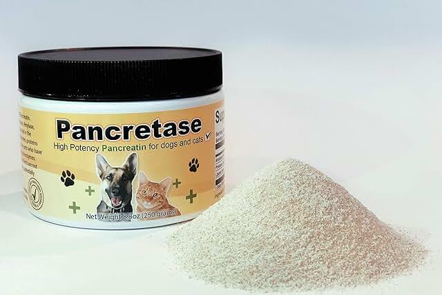 Digestive Enzymes for Pets with EPI